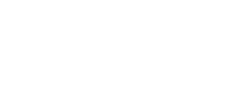 Falcon Logo